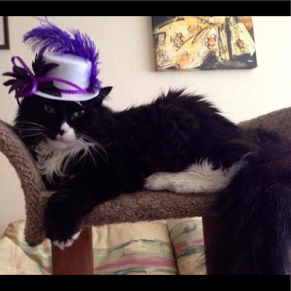 Sharing beautiful art work that I got received. - Picture 5 of 14